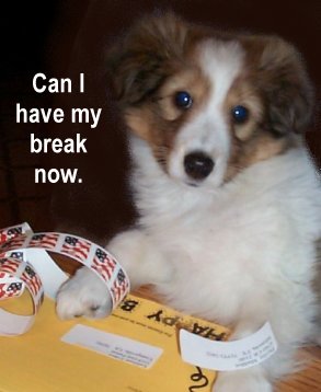 hard worker