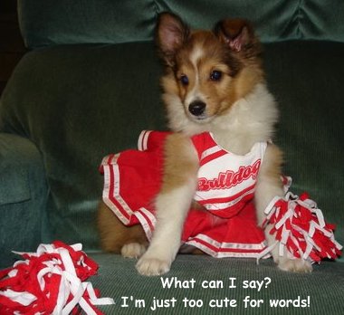 too cute for words