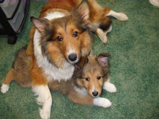 Jill with one of her puppies.