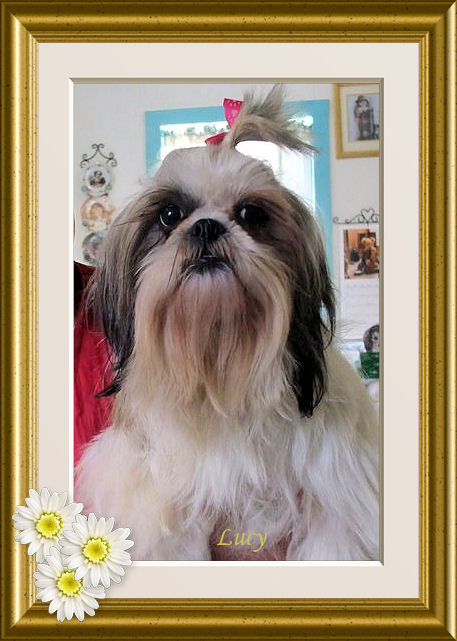 Nor~Leas Little Lucy