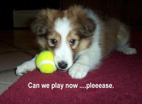 please play