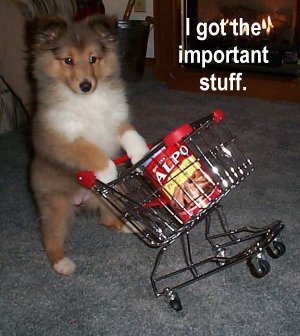 hungry pup