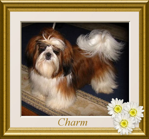 Charm